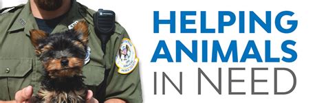 Animal protective services - Animal Protective Services strives to provide quality service and education to all residents and visitors while ensuring the humane treatment of animals. We strive to foster an improved human-animal bond through progressive animal welfare initiatives, community outreach, and humane education in a culture of compassion and integrity.